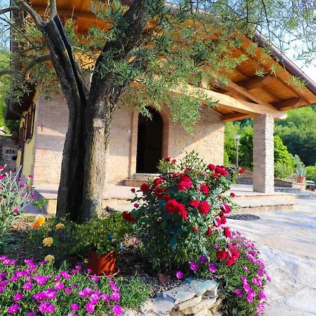 Agriturismo La Tana Citta di Castello Exterior photo