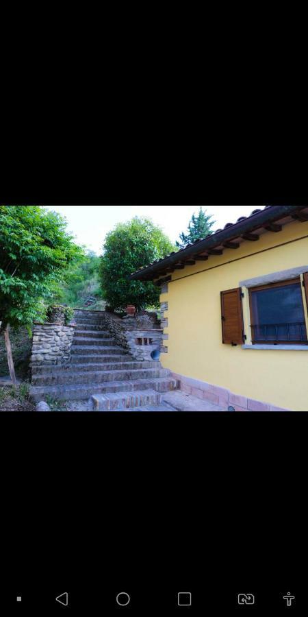 Agriturismo La Tana Citta di Castello Exterior photo