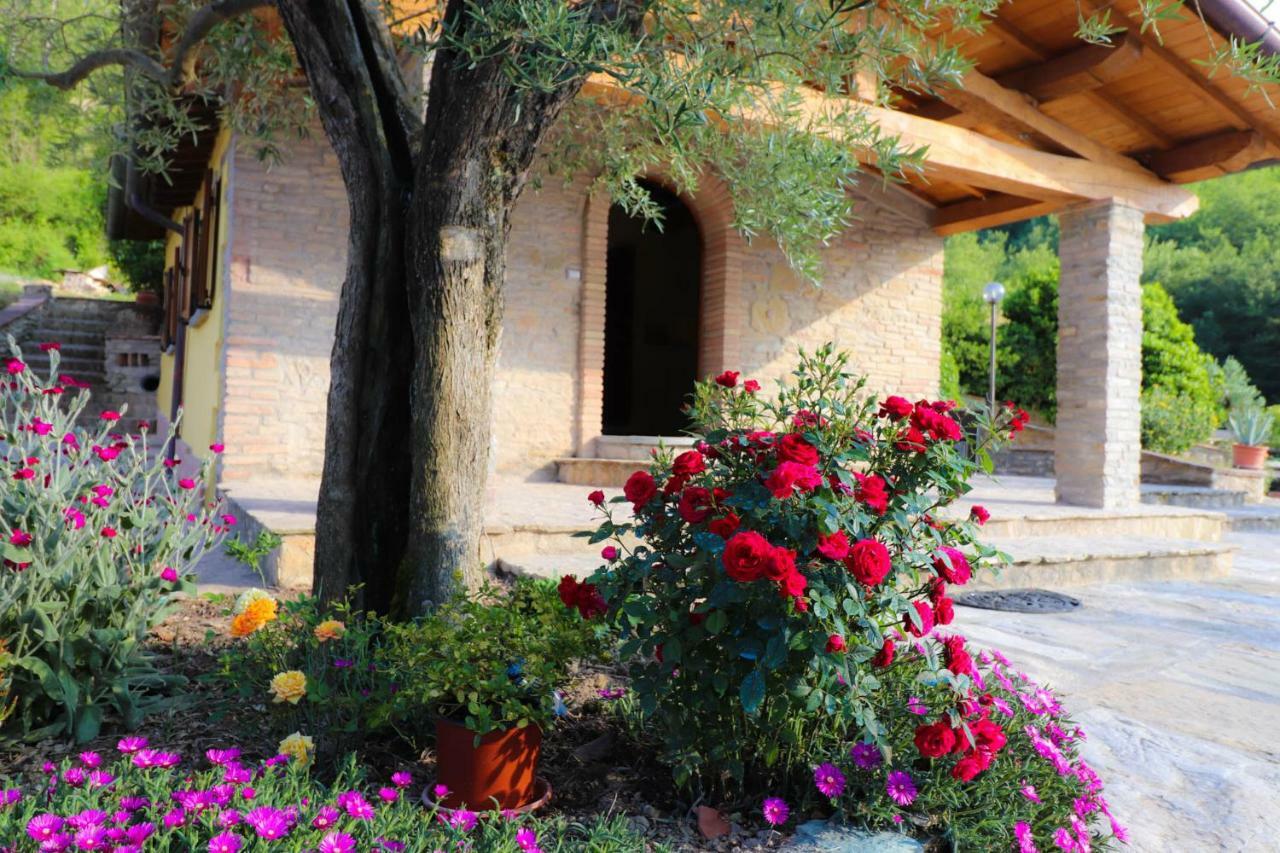 Agriturismo La Tana Citta di Castello Exterior photo