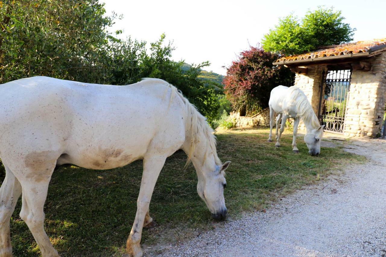 Agriturismo La Tana Citta di Castello Exterior photo